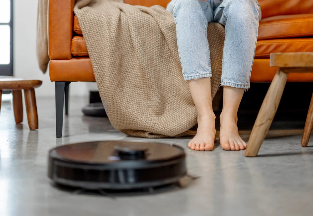 what is the best robotic vacuum cleaner